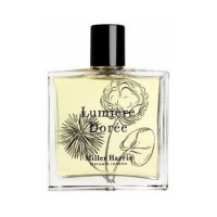 Lumière Dorée