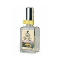 Olivo e Girasole