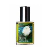 Princess Cottongrass