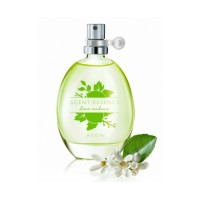Scent Essence - Lime Verbena