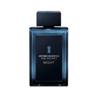 The Secret Night