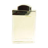 Salvatore Ferragamo pour Homme