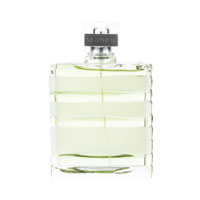 Vetiver Frozen Fragrance