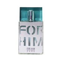 Zara for Him Silver