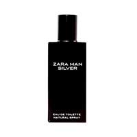Zara Man Silver