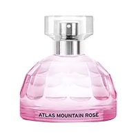 Atlas Mountain Rose