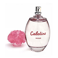 Cabotine Rose