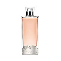 Elixir Charnel Gourmand Coquin
