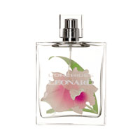 L'Orchidee