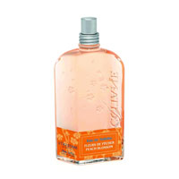 Peach Blossom