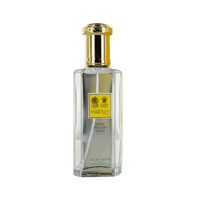 Royal English Daisy