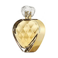 Untold Absolu
