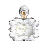 Vintage Bloom