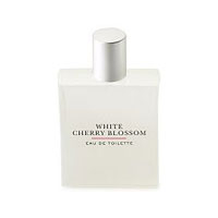 White Cherry Blossom