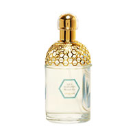 Aqua Allegoria Mentafollia
