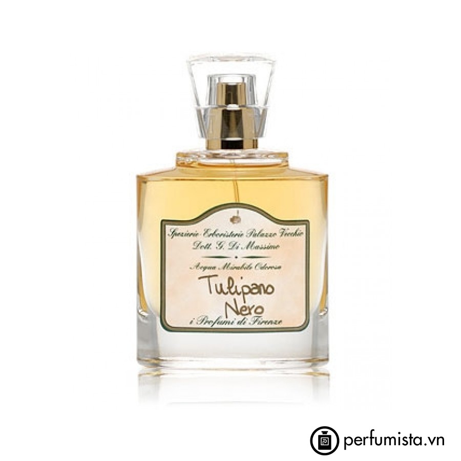 Tulipano Nero