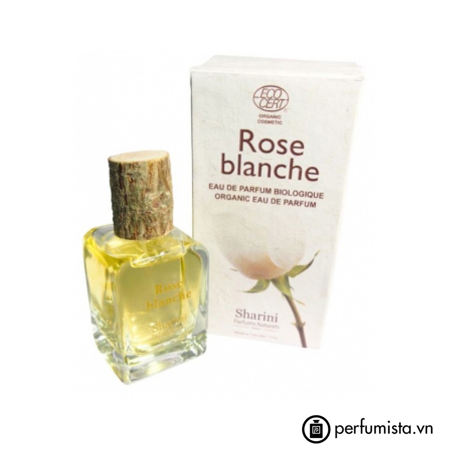 Rose Blanche