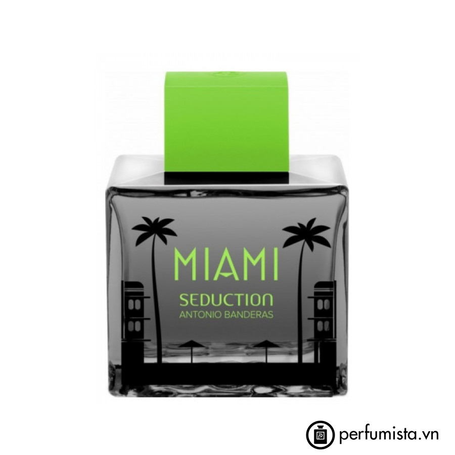 Miami Seduction In Black