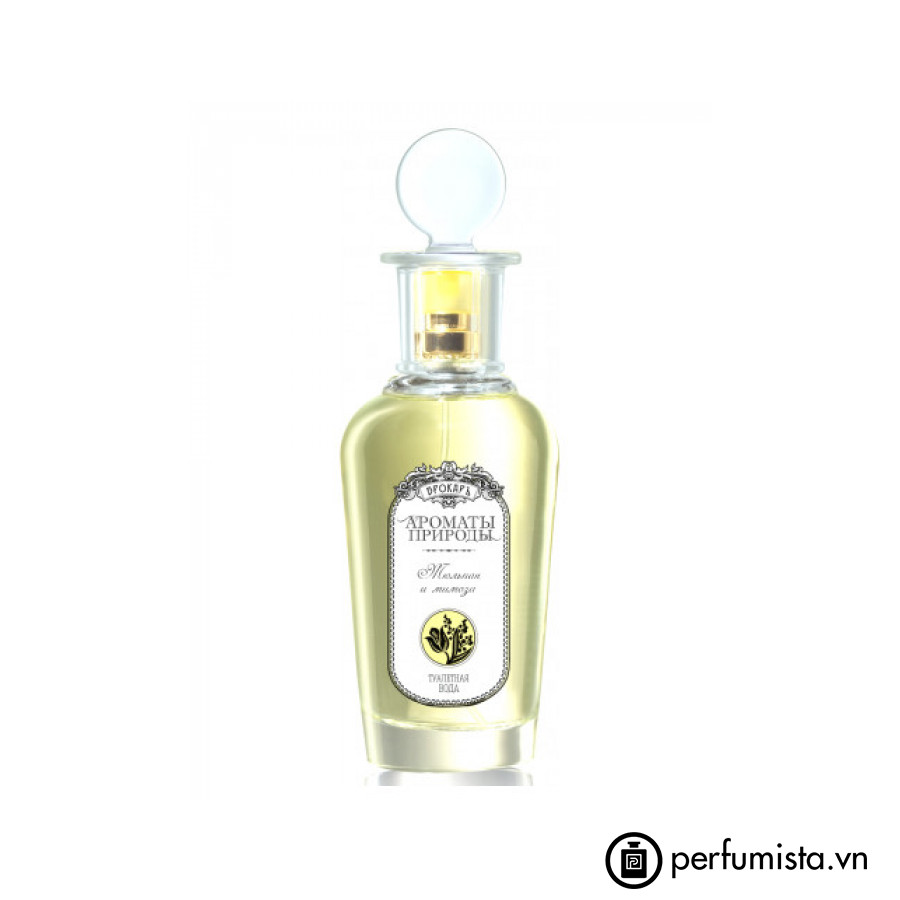 Tulpan i Mimosa (Тюльпан и мимоза)