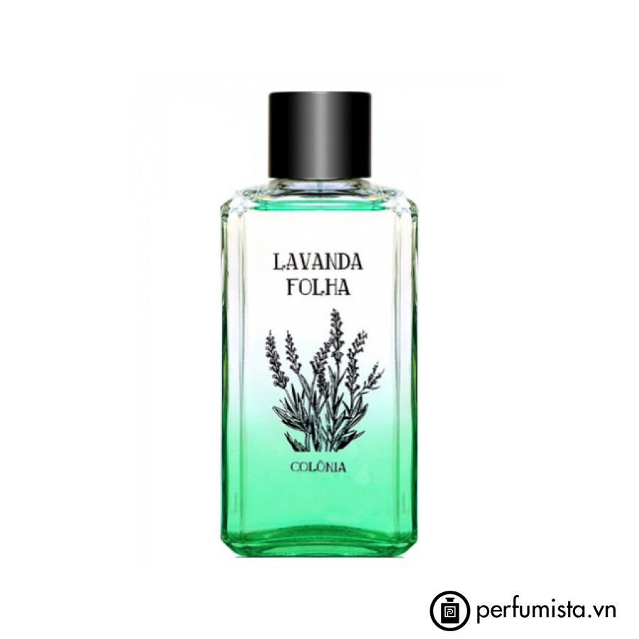 Lavanda Folha